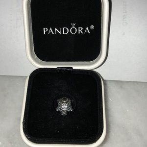 Brand new pandora turtle charm!